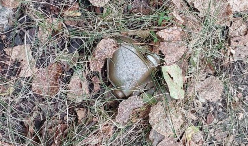 Учбова версія міни ПФМ-1 (ПФМ-1С) під опалим листям