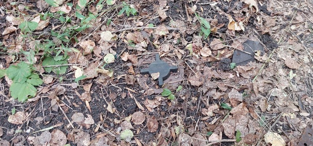 Міна ПМН-2 коричневого забарвлення під опалим листям: 1 - замаскована; 2 - після розгортання листя.