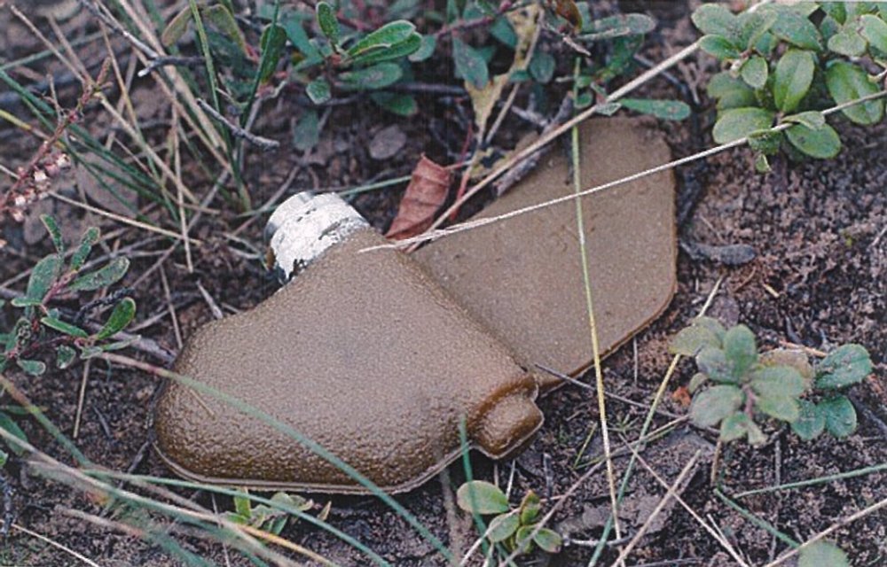 ПФМ-1 і ПФМ-1С